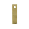 Don-Jo - CFC71-605 - Push Plate with 4 Width and 16 Length - 605 (Bright Brass Finish)