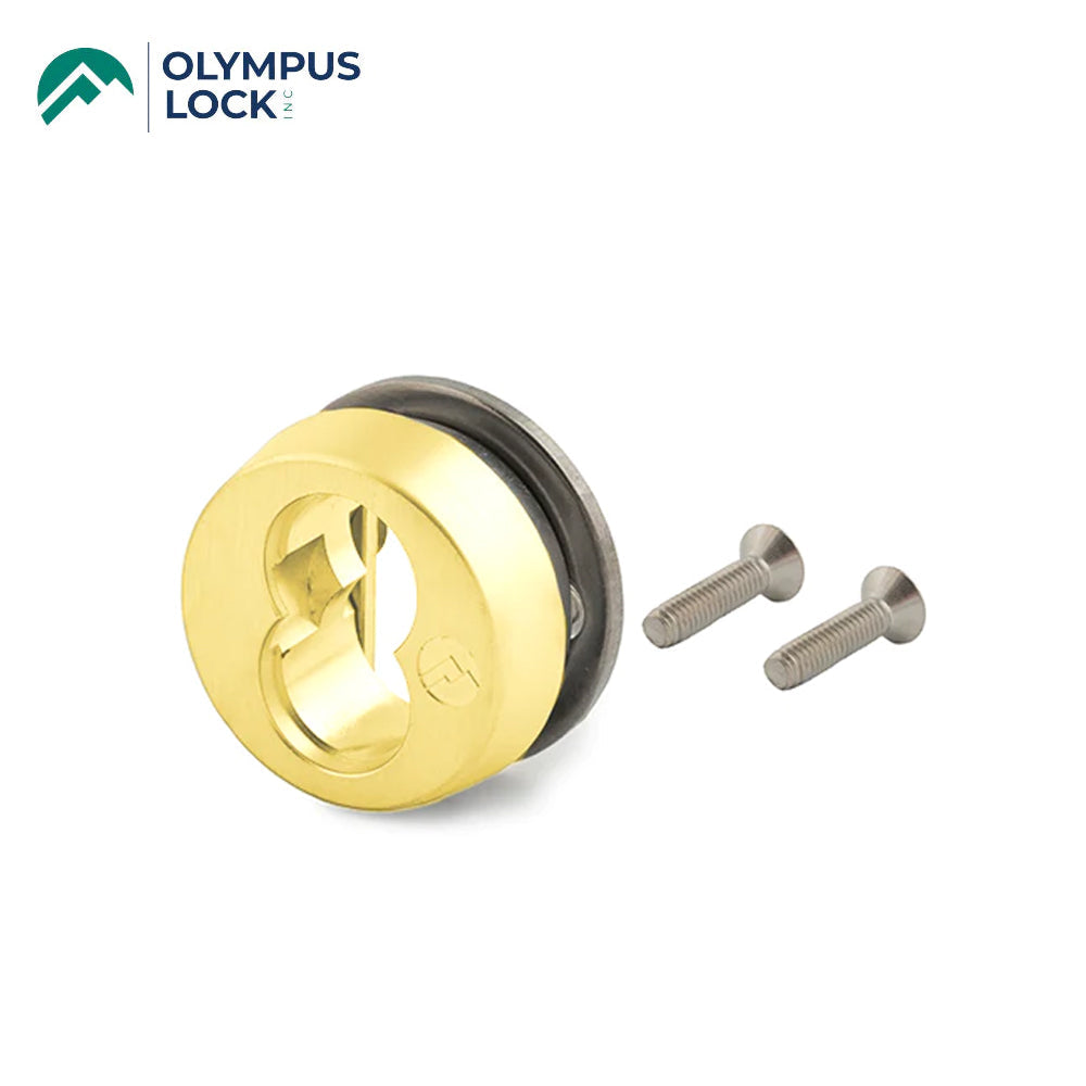 OLYMPUS LOCK - 723S - SFIC Sliding Door Cylinder Housing - Optional Color